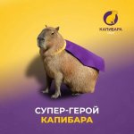 Музыка из рекламы Лига Ставок. «Капибара» (2023) 